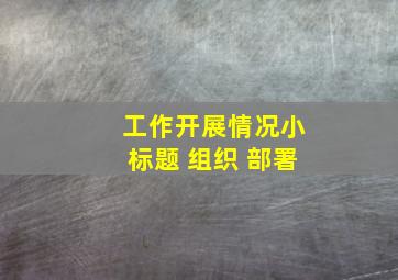 工作开展情况小标题 组织 部署